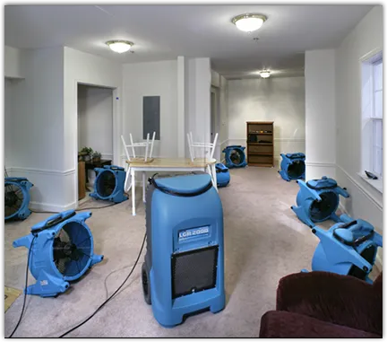 Drying & Dehumidification in Boulder City, NV