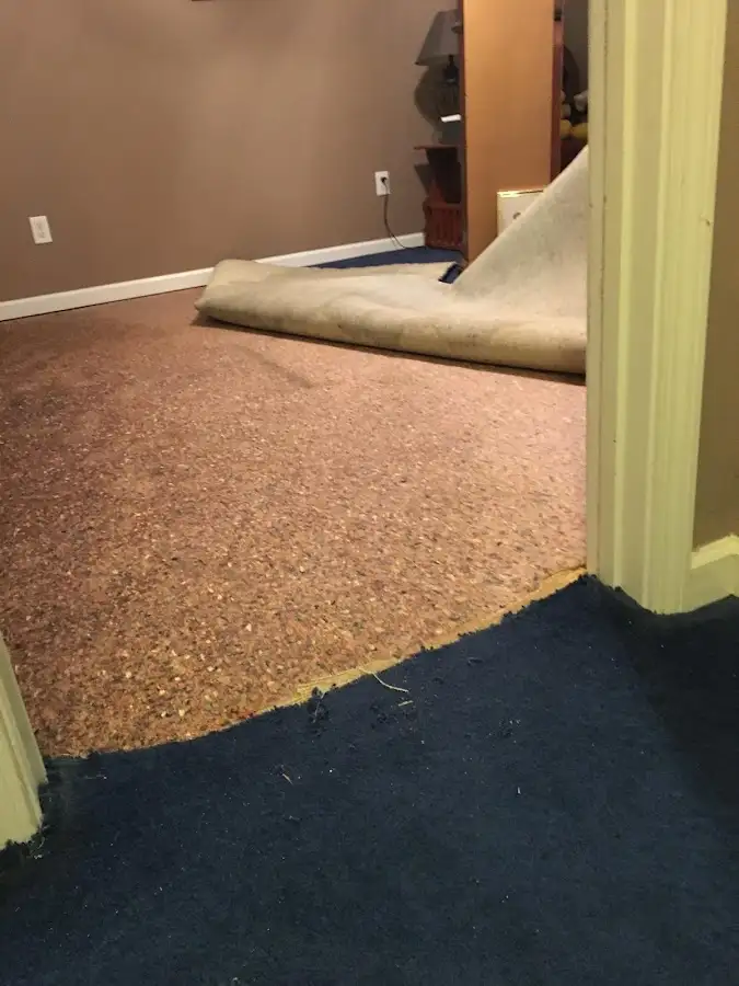 Carpet pad removal revealing water damage during Drying & Dehumidification in Boulder City